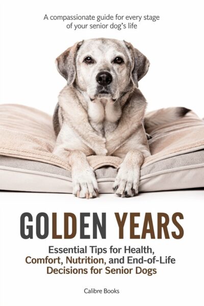 Golden Years: A Comprehensive Guide to Caring for Your Aging Dog